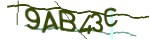 Mã bảo mật